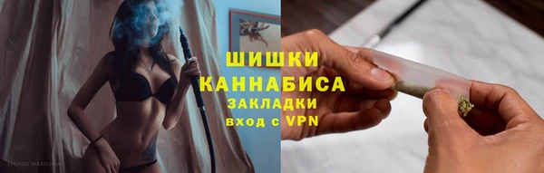 спиды Богородск