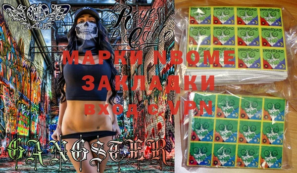 PSILOCYBIN Богданович