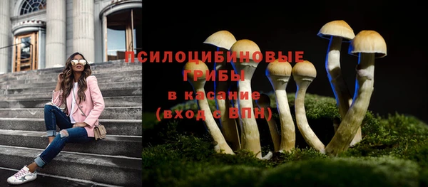 PSILOCYBIN Богданович