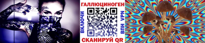 Галлюциногенные грибы прущие грибы Кизилюрт