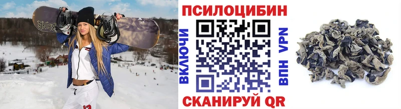 дарк нет наркотические препараты  Кизилюрт  Псилоцибиновые грибы ЛСД  blacksprut ТОР 